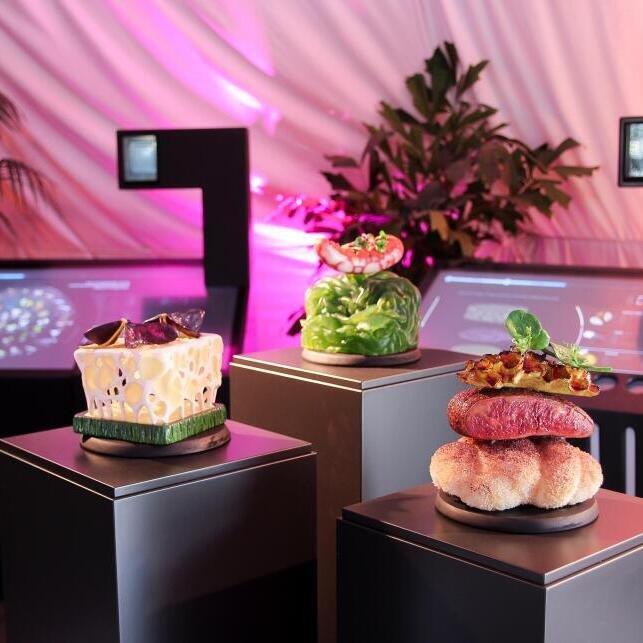 Culinair Cellulair